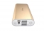 Портативное зарядное устройство Yoobao Power Bank 10000 mAh golden - 2